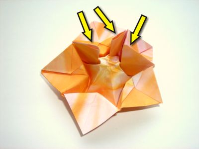 an origami flower an origami flower