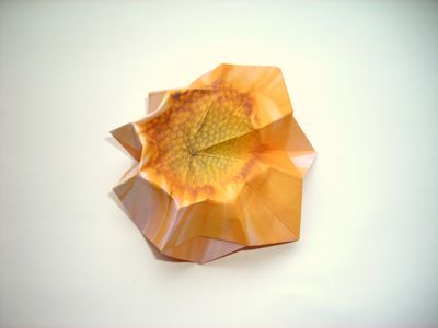 an origami flower an origami flower
