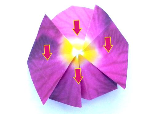 Fold an Origami Orchid Flower