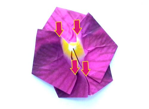 Fold an Origami Orchid Flower