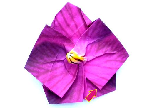 Fold an Origami Orchid Flower