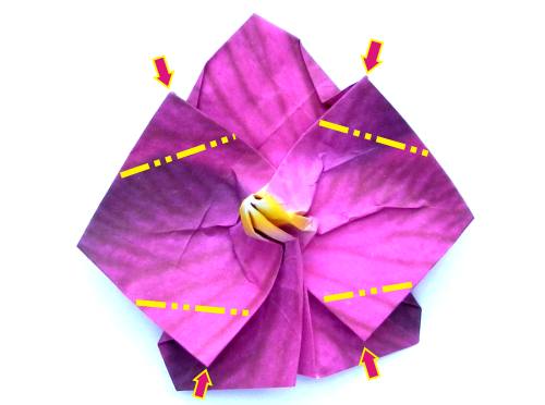 Fold an Origami Orchid Flower