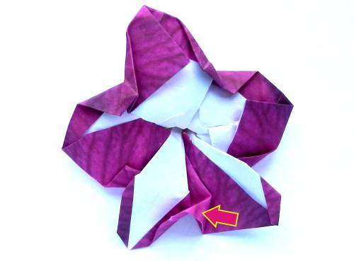 Fold an Origami Orchid Flower