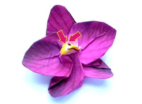 Fold an Origami Orchid Flower