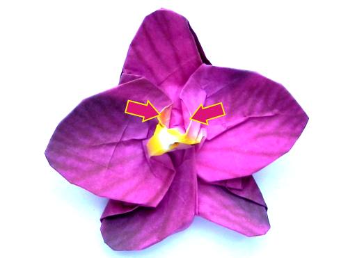 Fold an Origami Orchid Flower