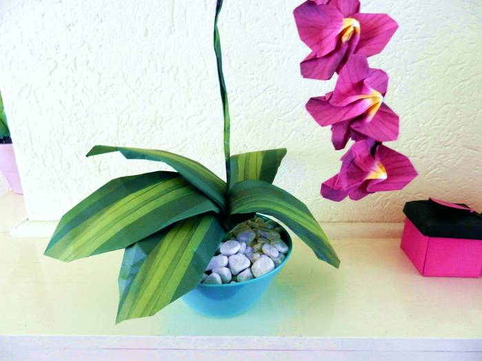 Origami Orchid Flower