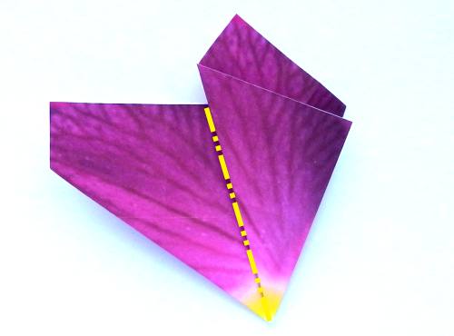 Fold an Origami Orchid Flower