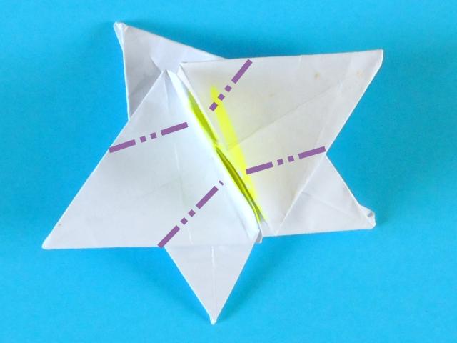 Make an Origami Orchid