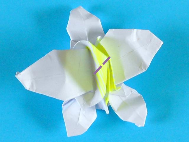 Make an Origami Orchid