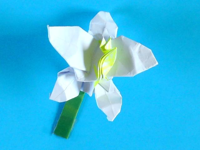 Origami Orchid