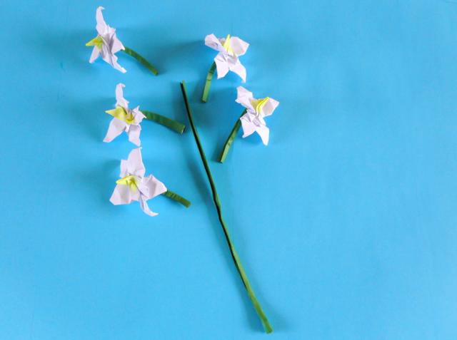 Make an Origami Orchid