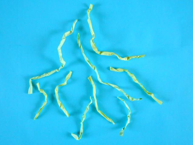 Origami flower roots Origami flower roots
