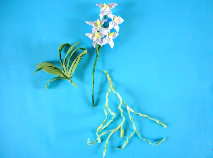 Origami flower with roots Origami flower with roots
