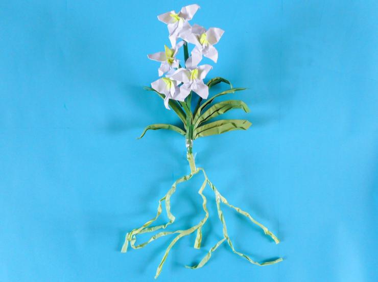 Origami flower with roots