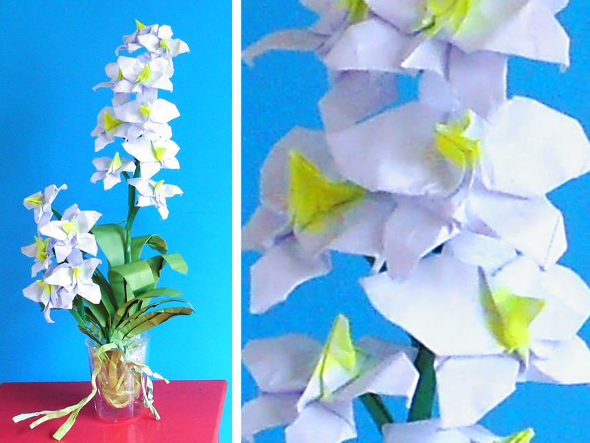 Origami Vanda Orchid