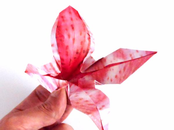 Make an Origami Oriental Lily