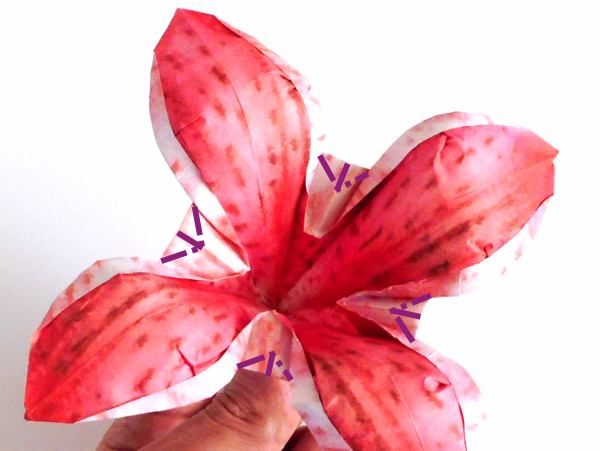 Make an Origami Oriental Lily