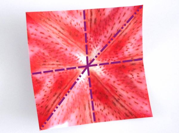 Make an Origami Oriental Lily Make an Origami Oriental Lily