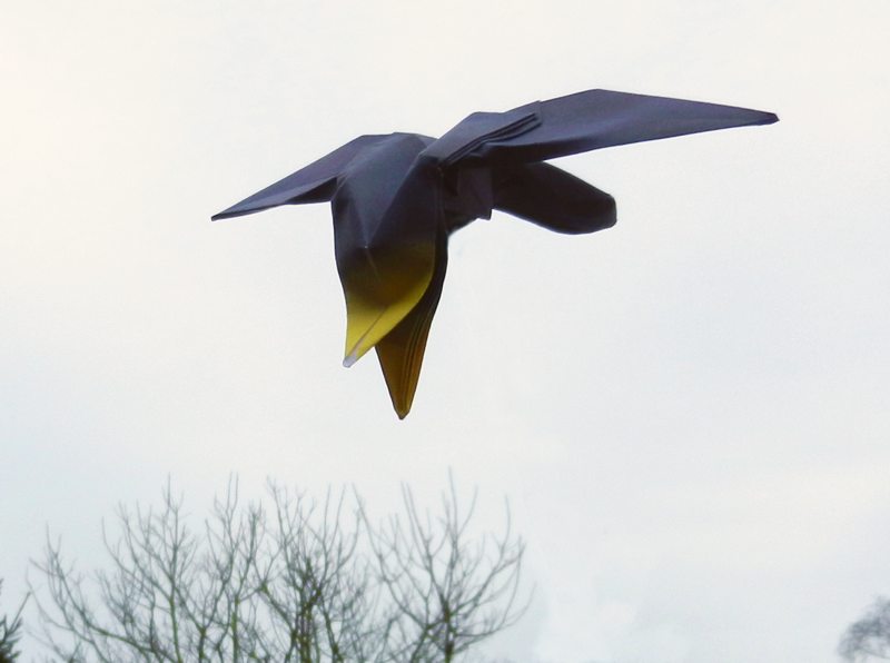 origami Ornithocheirus flying dinosaur