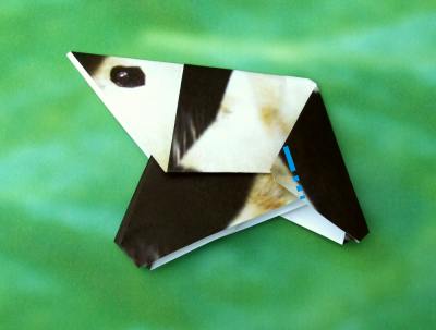 uitleg om een origami panda te vouwen