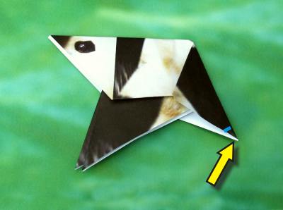 uitleg om een origami panda te vouwen uitleg om een origami panda te vouwen