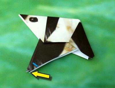 uitleg om een origami panda te vouwen uitleg om een origami panda te vouwen