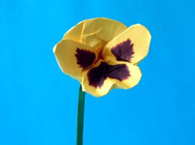 origami pansy