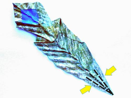 Fold Origami Peacock feathers