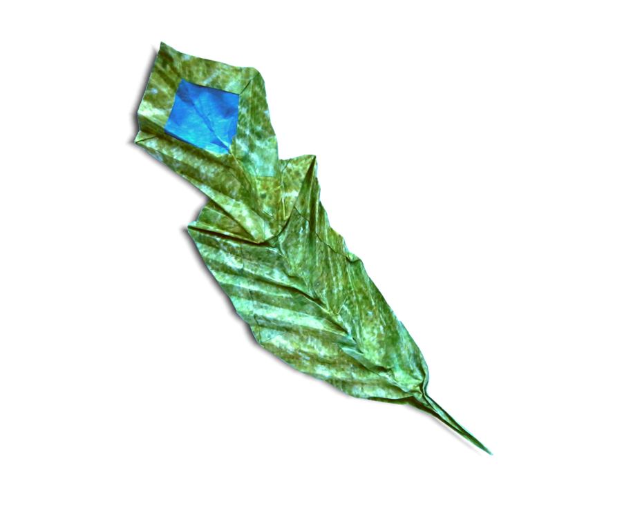 Origami Peaock feather