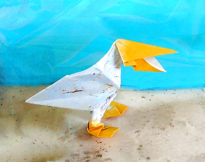 Origami Pelikaan Origami Pelikaan