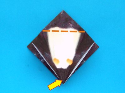 Fold an Origami Penguin