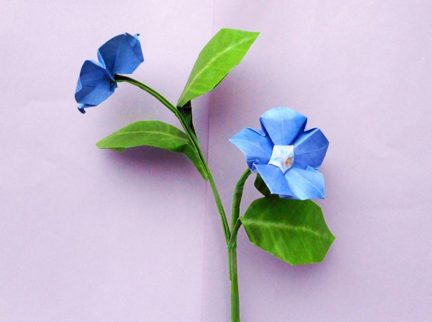 Origami Periwinkle Flower