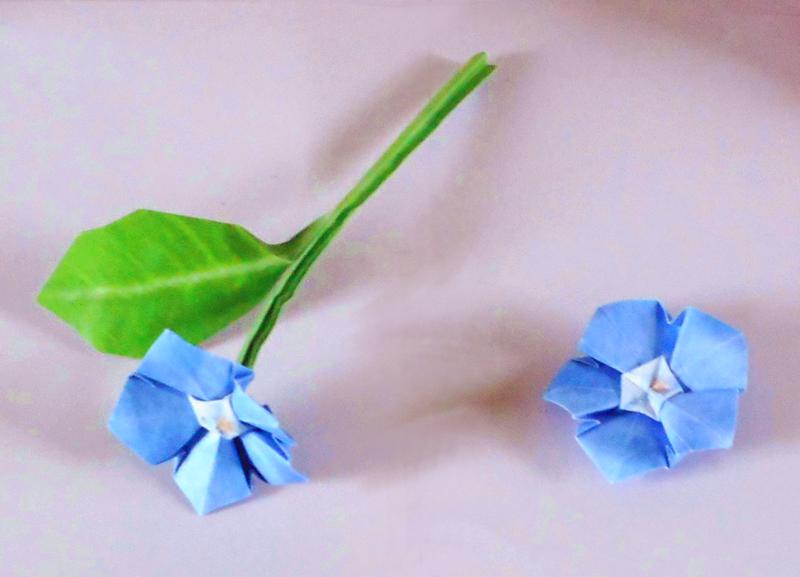 Origami Periwinkle Flowers Origami Periwinkle Flowers