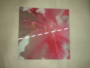 pink origami flower diagrams pink origami flower diagrams