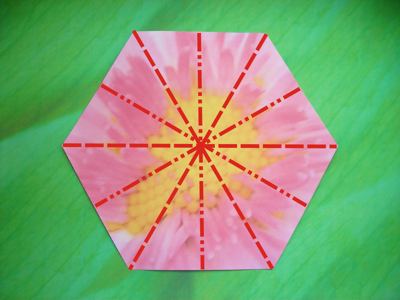 diagrams for a flower with 6 petals diagrams for a flower with 6 petals