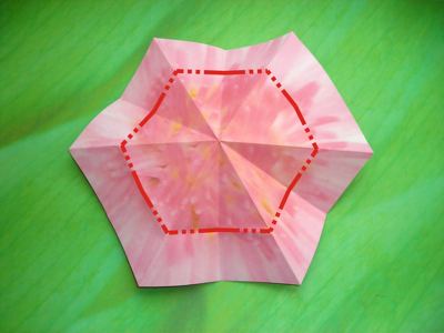 diagrams for a flower with 6 petals diagrams for a flower with 6 petals