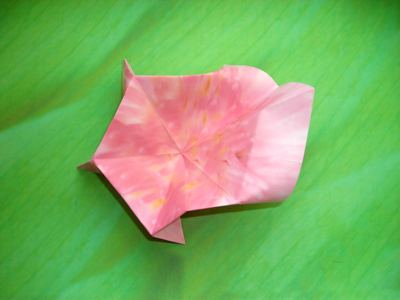 diagrams for a flower with 6 petals diagrams for a flower with 6 petals