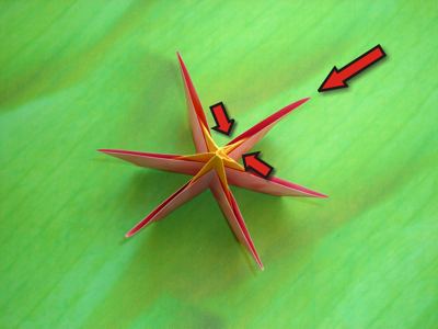 diagrams for a flower with 6 petals diagrams for a flower with 6 petals