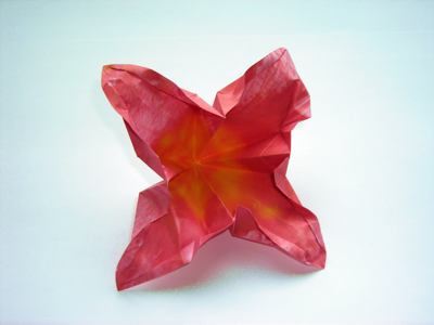 Roze bloem Roze bloem