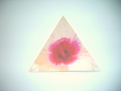 folding a pink origami flower