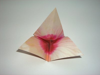 folding a pink origami flower