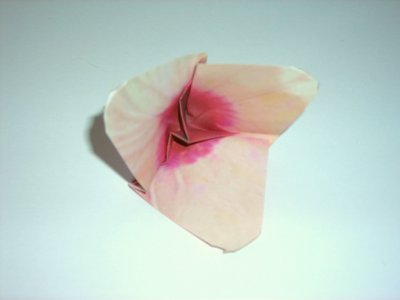 roze origami bloem vouwen