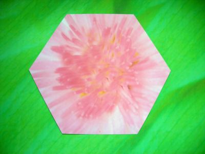 hexagon origami paper for folding a flower