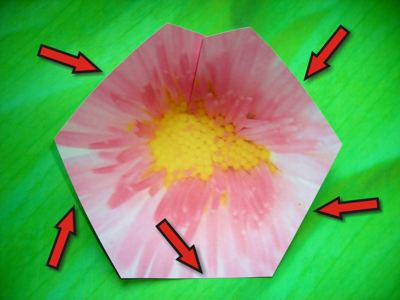 origami flower origami flower