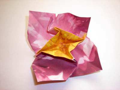 Roze Origami bloem Roze Origami bloem