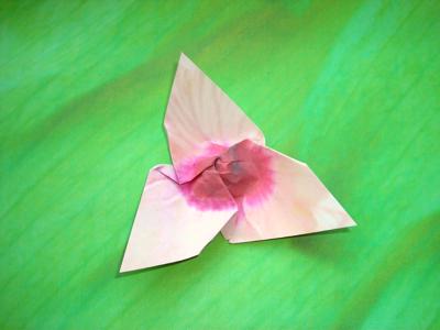 Roze Origami bloem