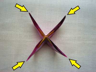 origami flower diagrams origami flower diagrams