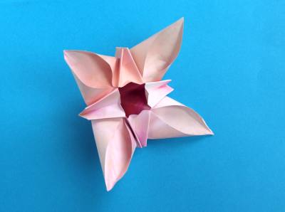 Roze Origami bloem Roze Origami bloem