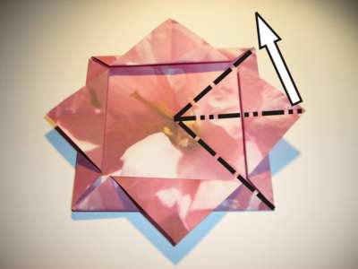 diagrams for an origami flower diagrams for an origami flower