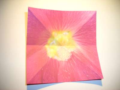 origami diagrammen van een roze bloemetje origami diagrammen van een roze bloemetje